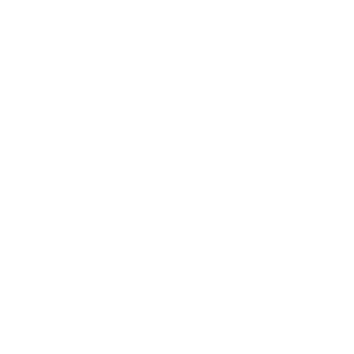 Shield Check Icon