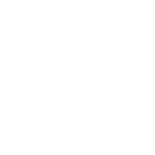 Medical Shield Icon