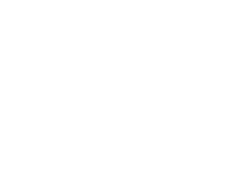 Berkley Risk White Logo