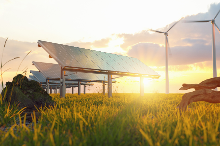 Renewable energy facility with solar panels and wind turbines.